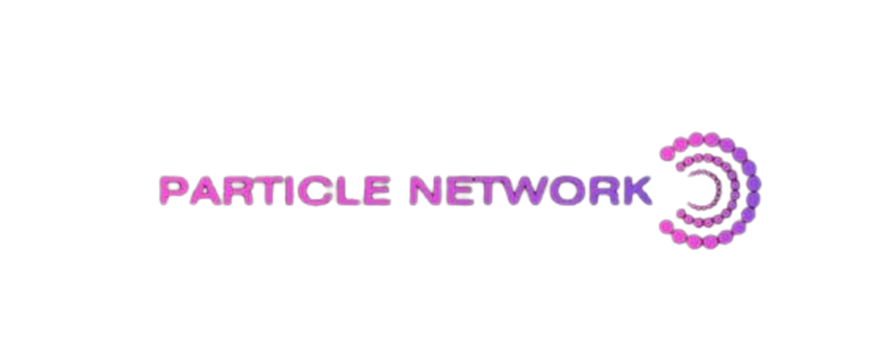 Particle Network